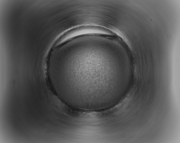 X0000088850926200706081132