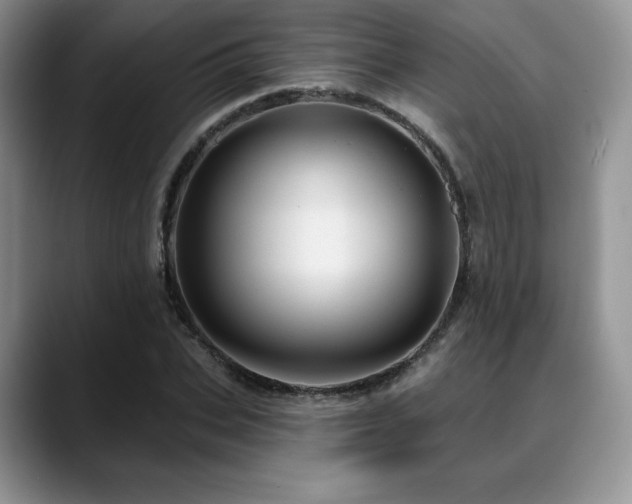 X0000088850927200706081132