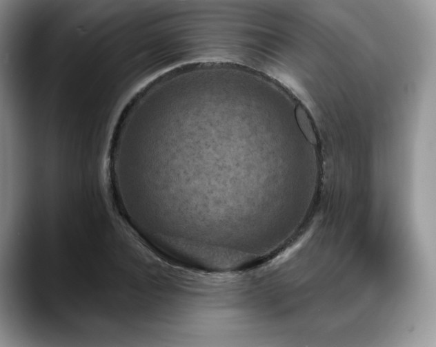 X0000088850928200706081132