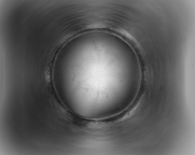 X0000088850929200706081132