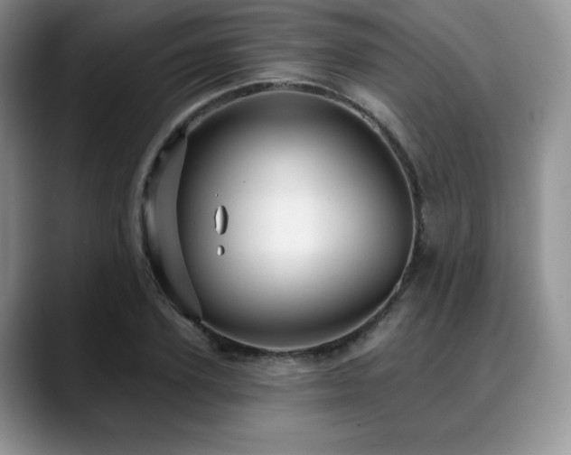X0000088850931200706081132