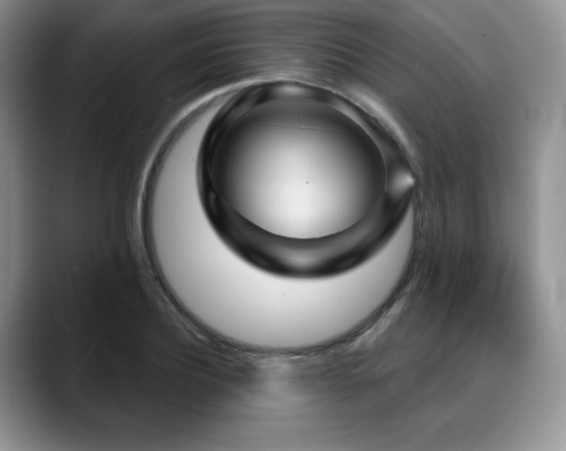 X0000088850932200706081132