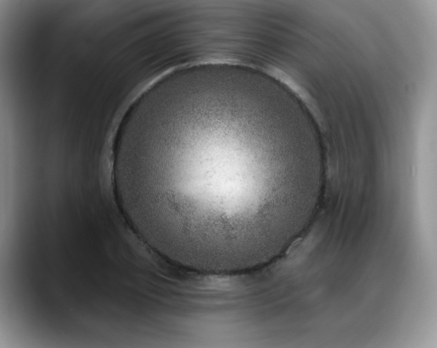 X0000088850933200706081132