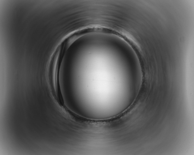 X0000088850934200706081132