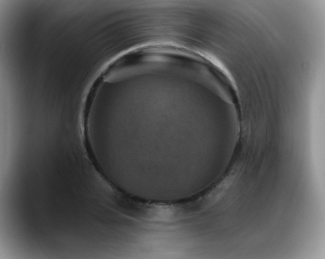 X0000088850935200706081132