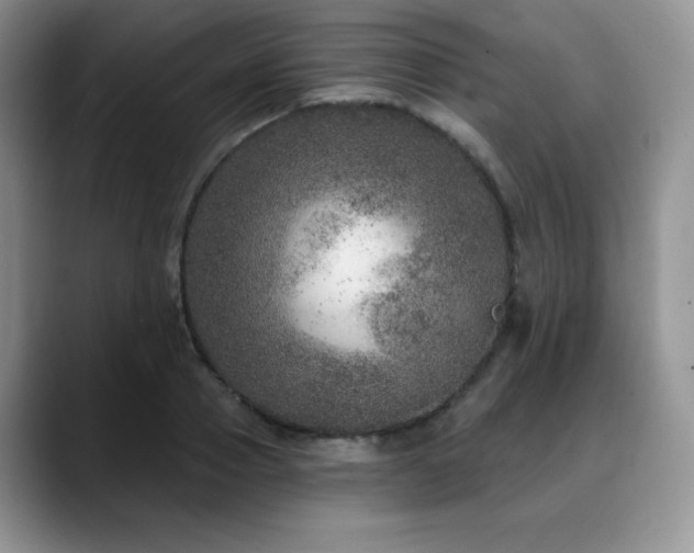 X0000088850937200706081132
