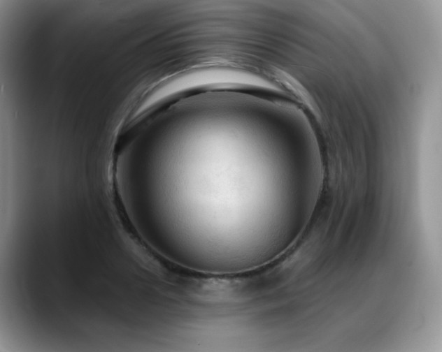 X0000088850938200706081132