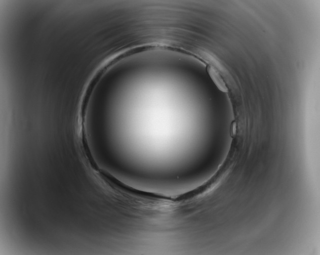 X0000088850940200706081132