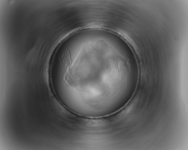 X0000088850941200706081132