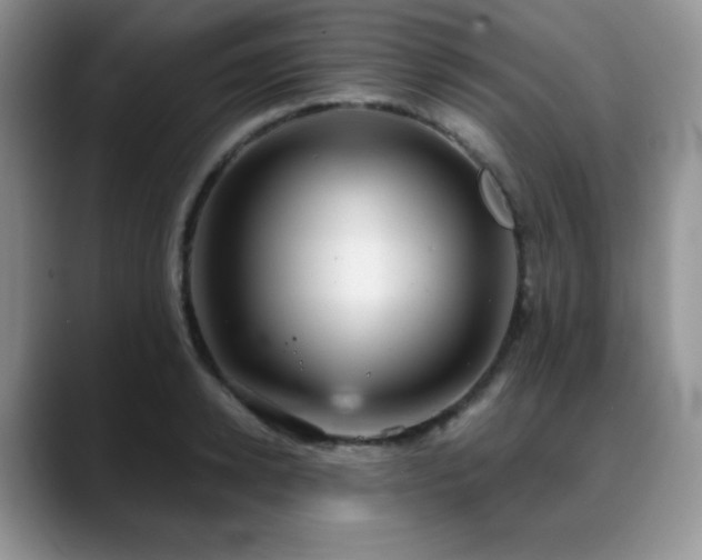 X0000088850942200706081132