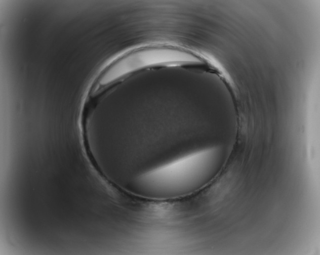 X0000088850943200706081132