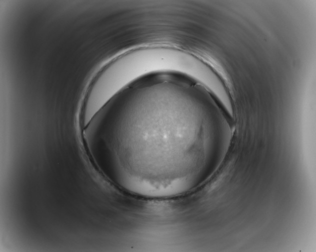 X0000088850944200706081132