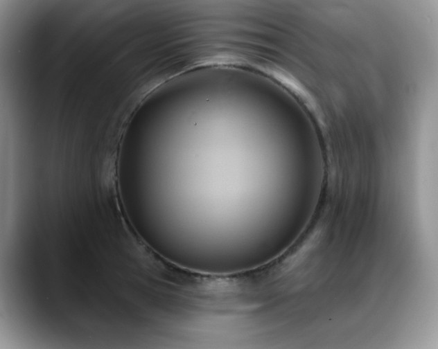 X0000088850945200706081132
