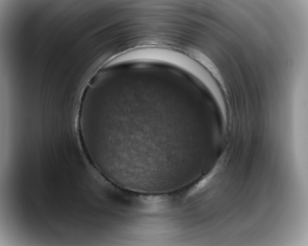 X0000088850946200706081132