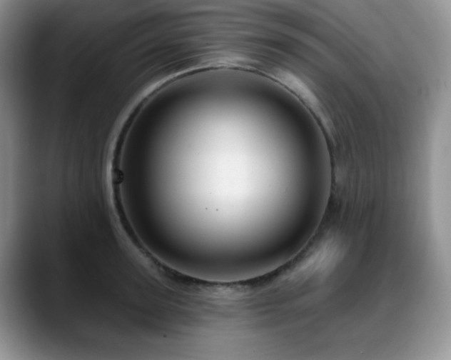 X0000088850947200706081132