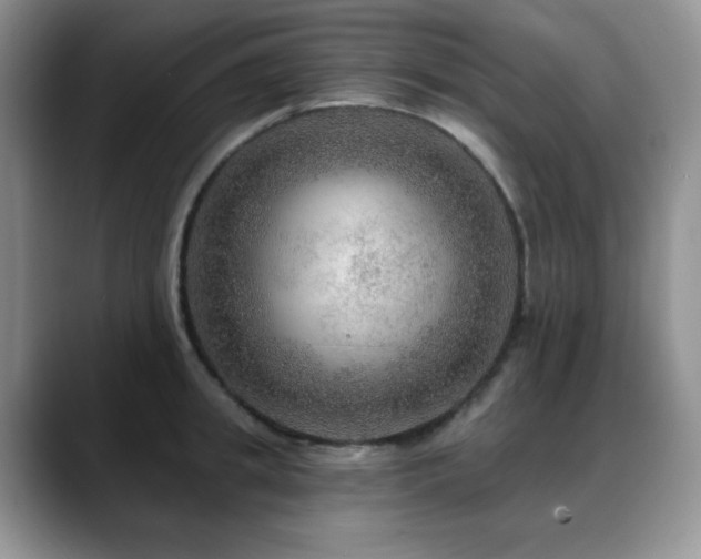 X0000088850949200706081132