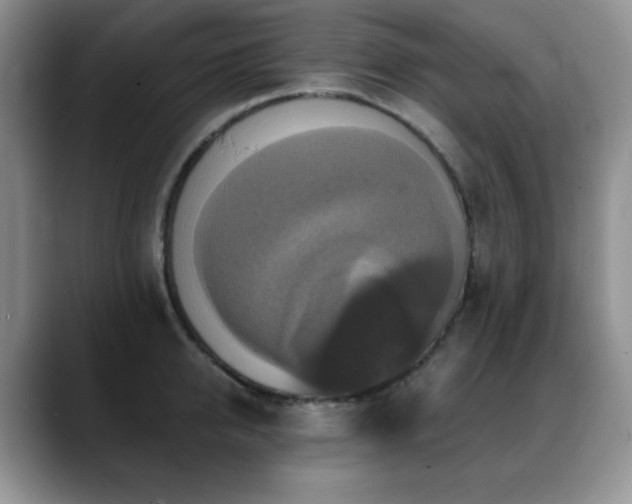 X0000088850950200706081132
