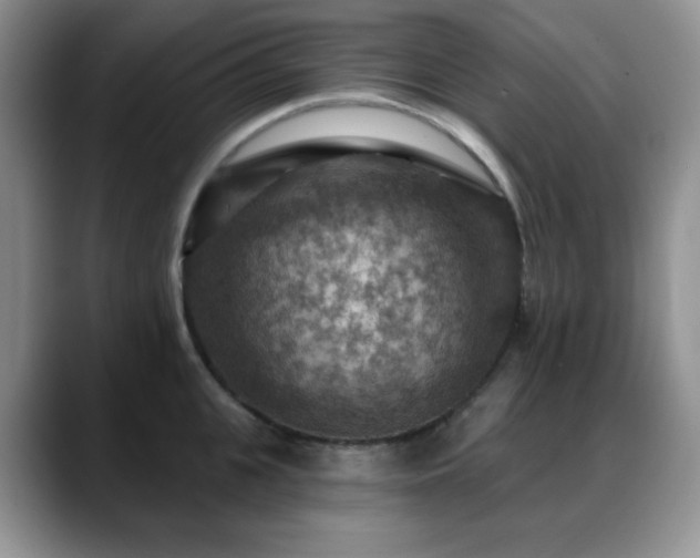X0000088850951200706081132