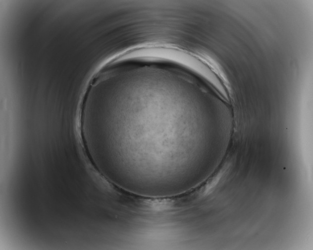 X0000088850952200706081132
