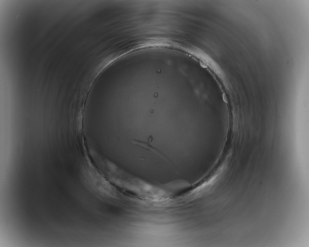 X0000088850953200706081132
