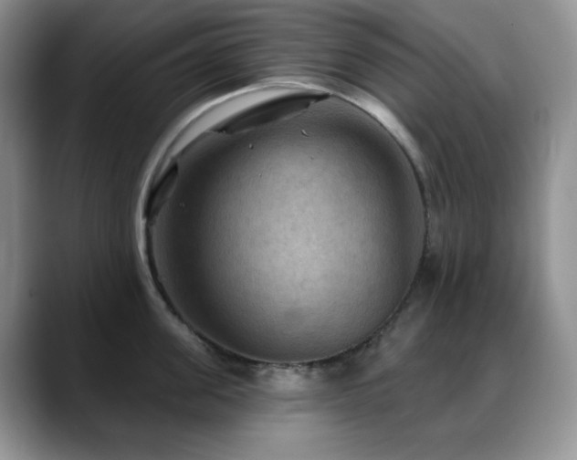 X0000088850955200706081132