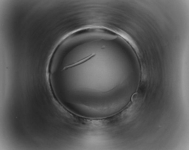 X0000088850958200706081132