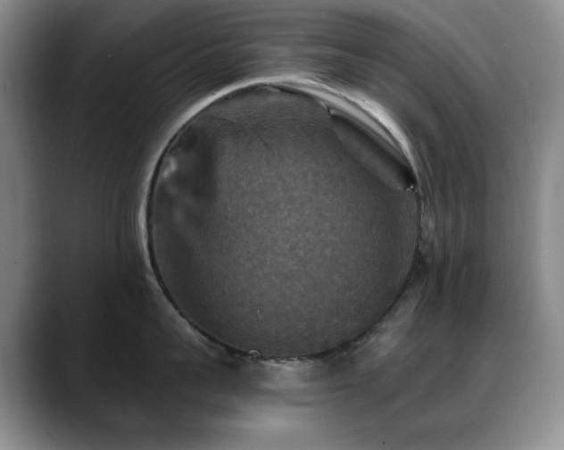 X0000088850959200706081132