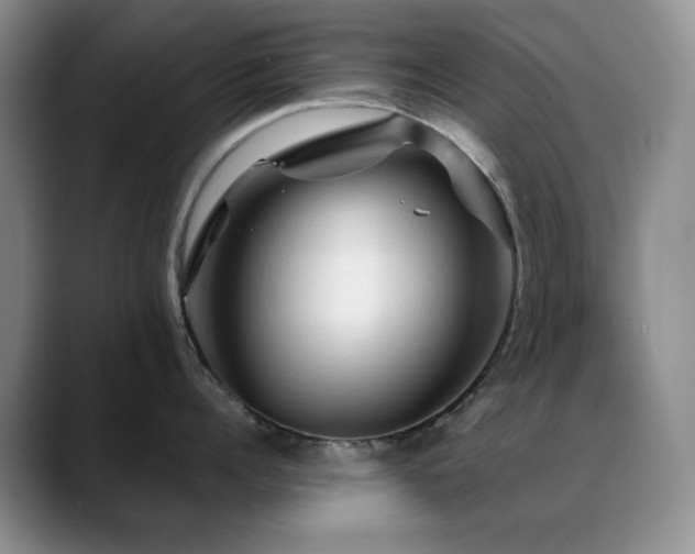X0000088850960200706081132