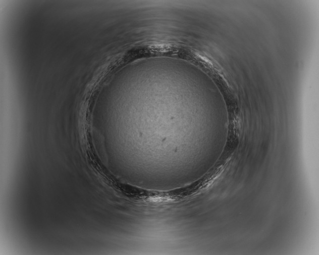 X0000088850961200706081132