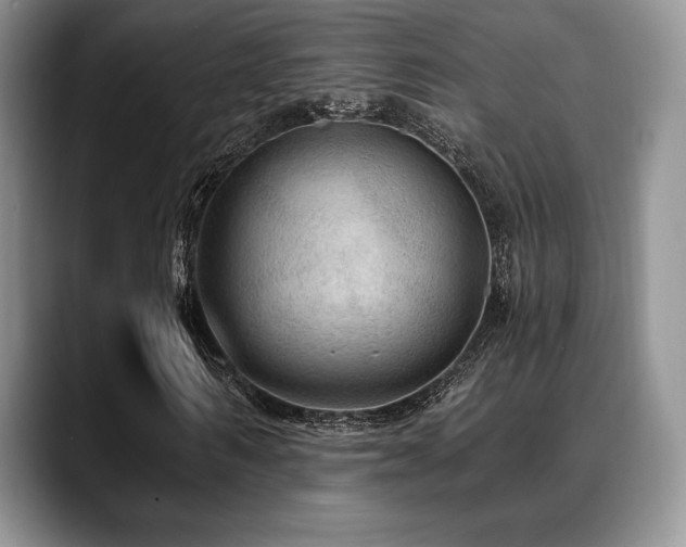 X0000088850962200706081132