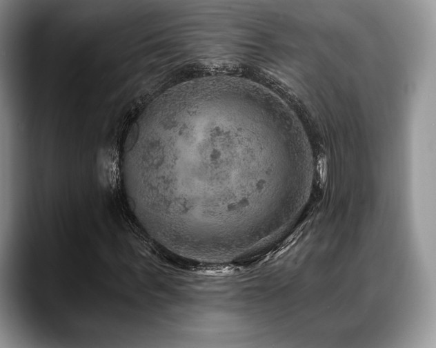 X0000088850963200706081132
