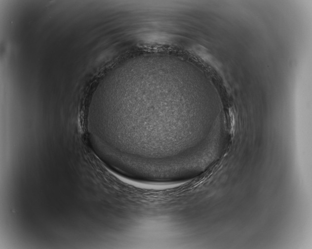 X0000088850965200706081132