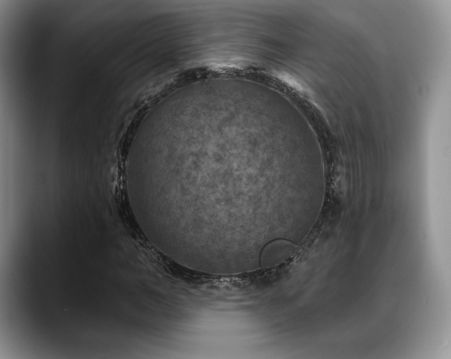 X0000088850966200706081132