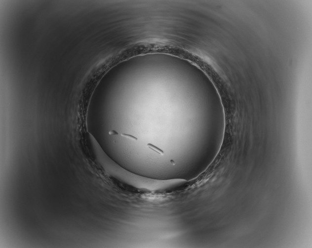 X0000088850967200706081132