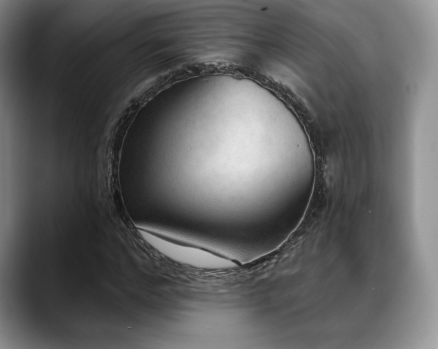 X0000088850968200706081132