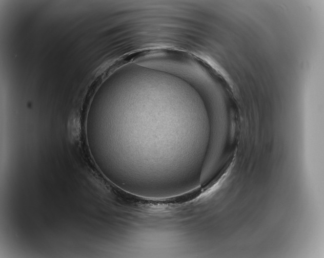 X0000088850969200706081132