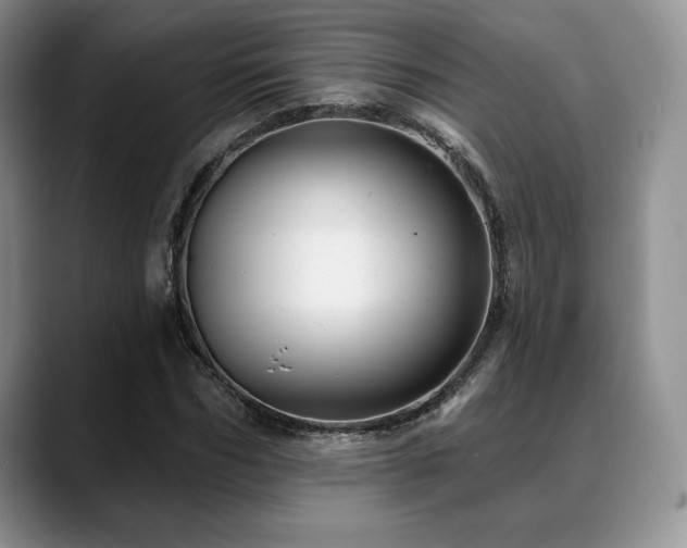 X0000088850970200706081131