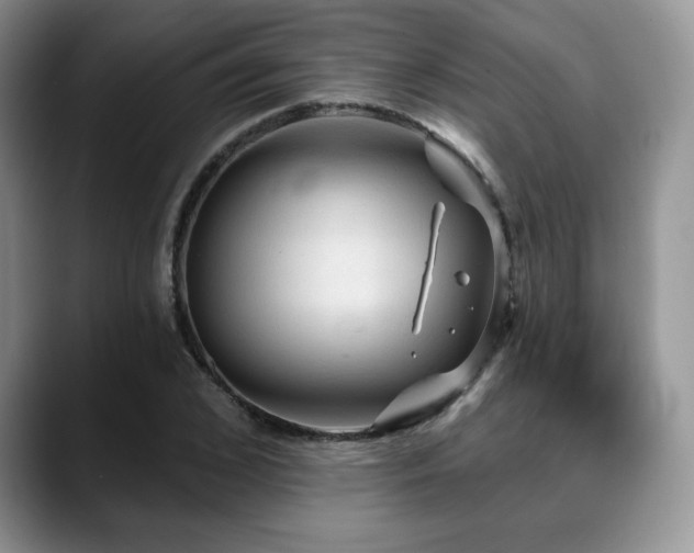 X0000088850976200706081131