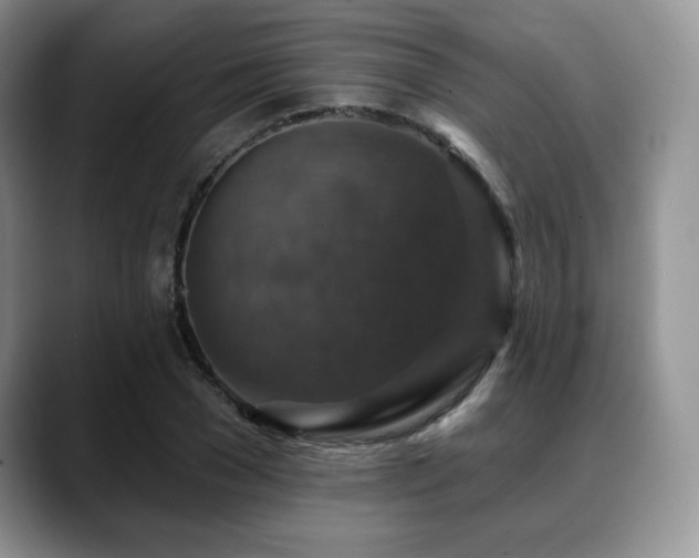 X0000088850977200706081131