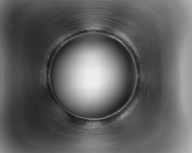 X0000088850978200706081131