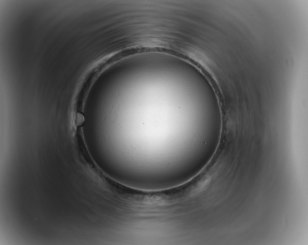 X0000088850979200706081131
