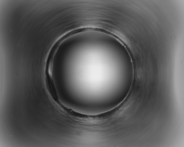 X0000088850980200706081131
