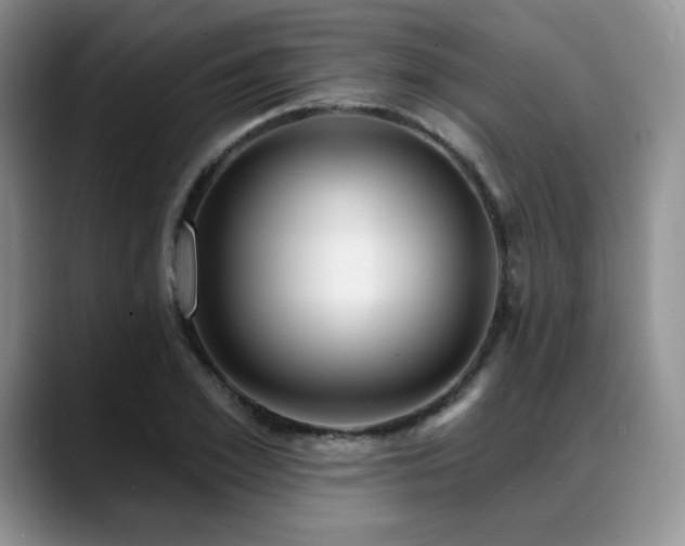 X0000088850981200706081131