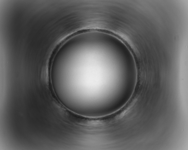 X0000088850982200706081131