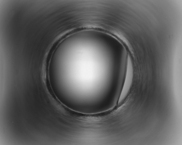 X0000088850984200706081131