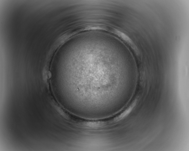 X0000088850985200706081131