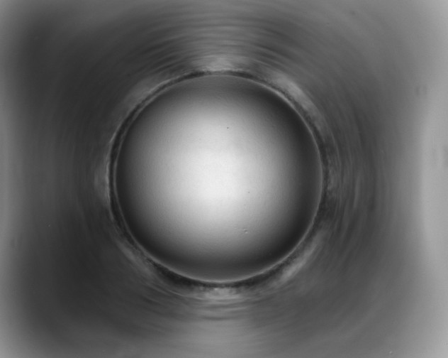 X0000088850986200706081131