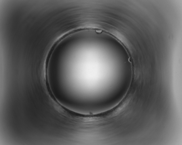 X0000088850988200706081131