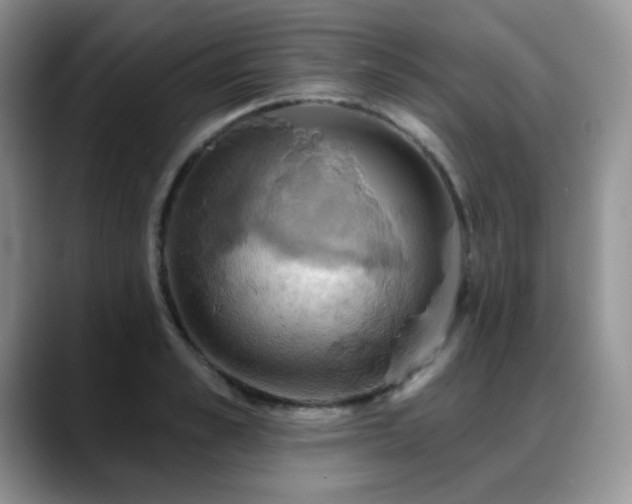X0000088850989200706081131