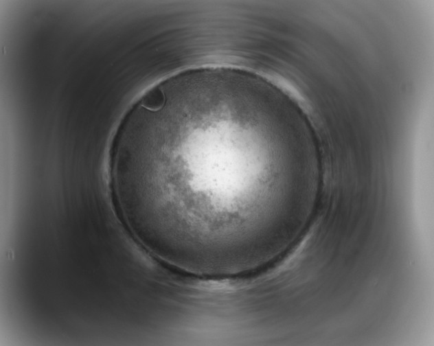X0000088850990200706081131